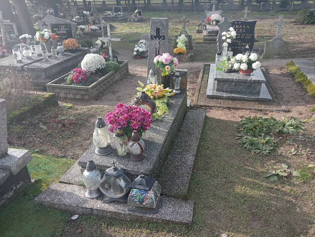 Grób Henryk Śliwiński